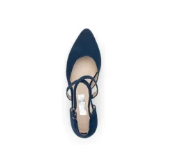 Bandpump blauw