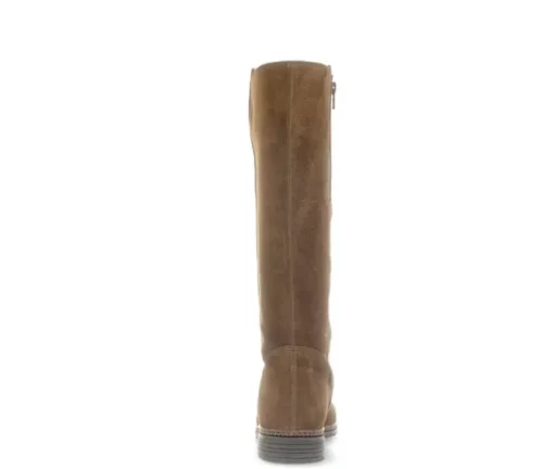Elegante laarzen bruin