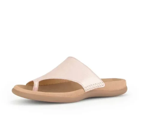 Teenslipper rose