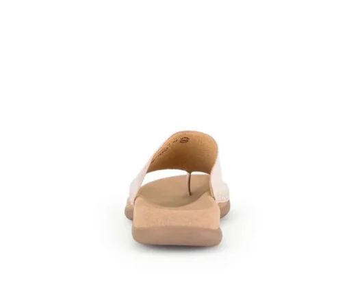 Teenslipper rose