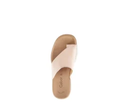 Teenslipper rose